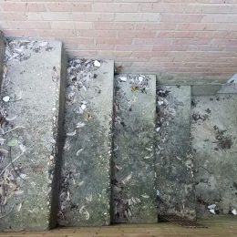 MARCHES EN MAÇONNERIE