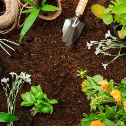 Guide pratique pour l'entretien de votre jardin
