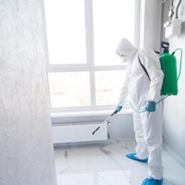 Désinsectisation à domicile