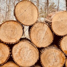 Avantages des ouvrages en bois