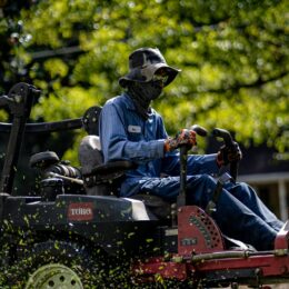 Tonte de gazon par un professionnel